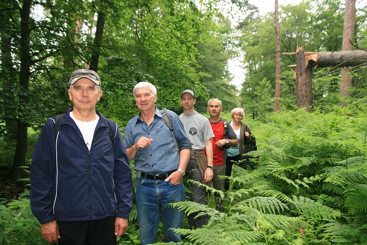 07.jpg