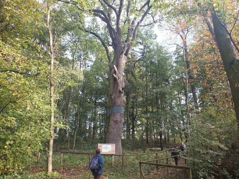 06.jpg