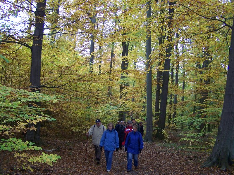04.jpg