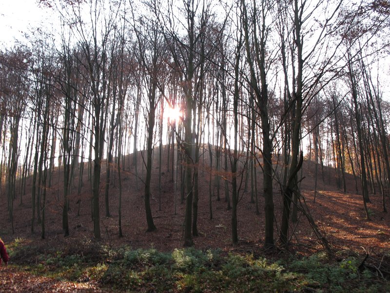 08.jpg