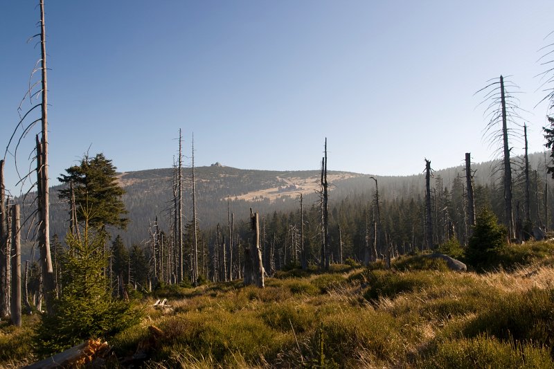 10.jpg - Widok na Halę Szrenicką i Szrenicę (1362m).
