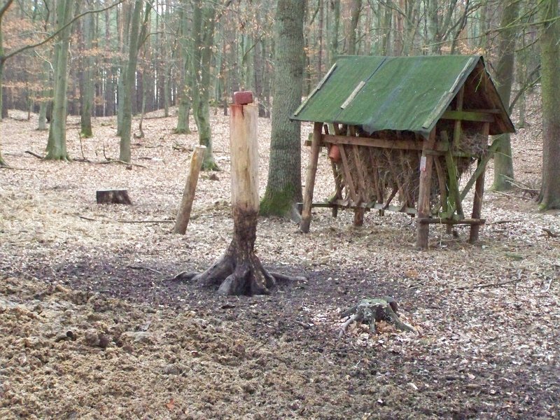 07.jpg