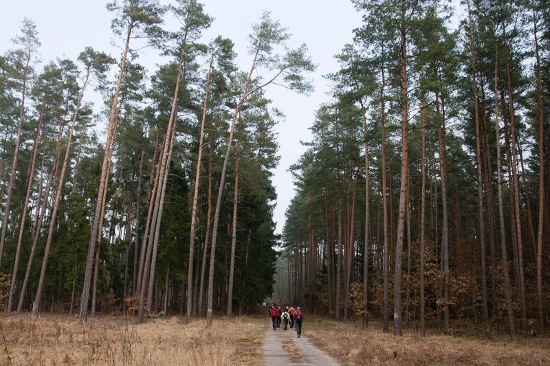 07.jpg