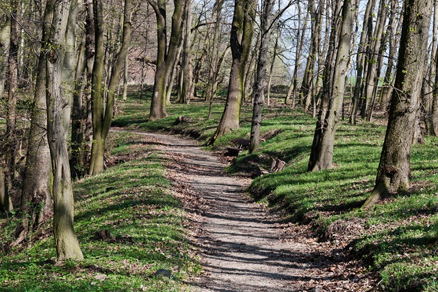 16.jpeg