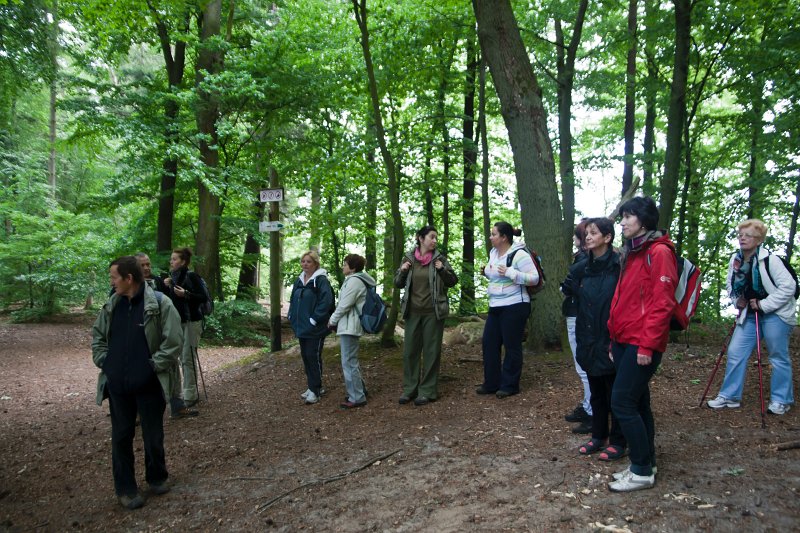 06.jpg
