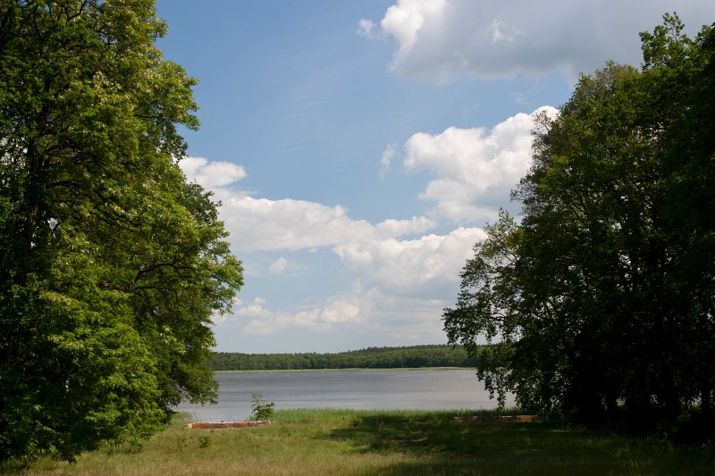 05.jpg