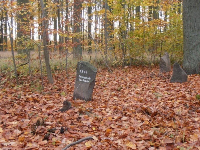 05.jpg