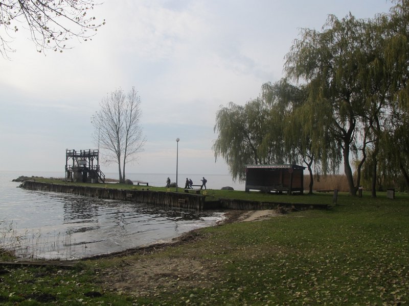 01.jpg