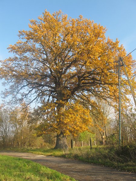 08.jpg