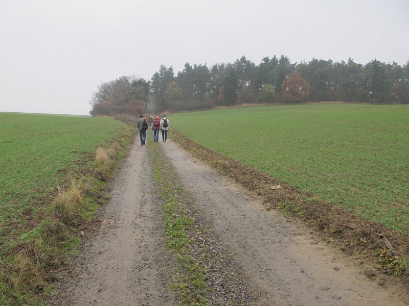 07.jpg
