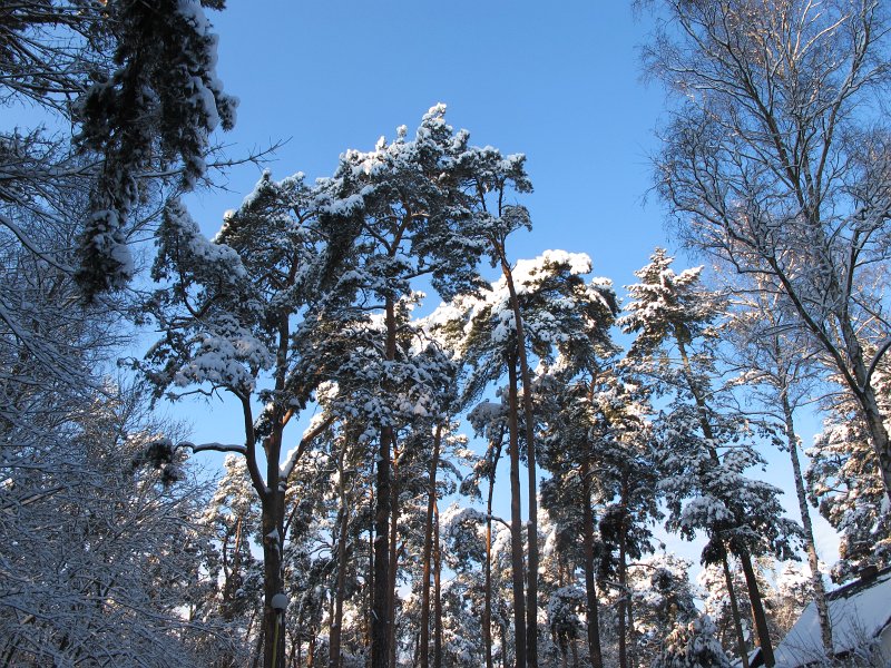 08.jpg