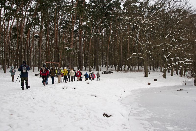05.jpg