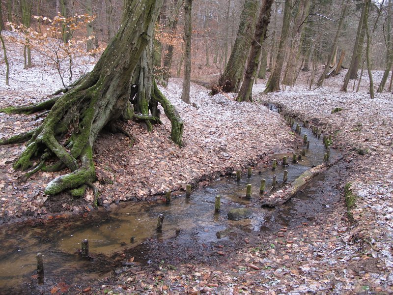 06.jpg