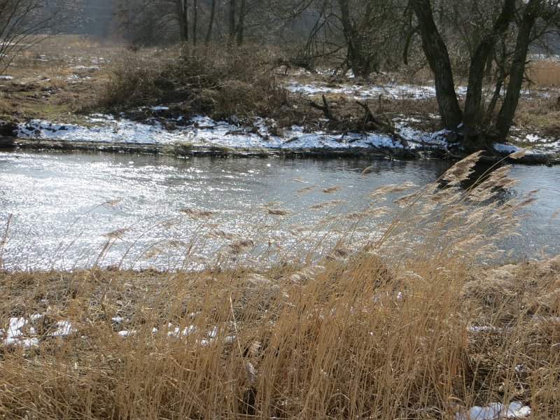 05.jpg