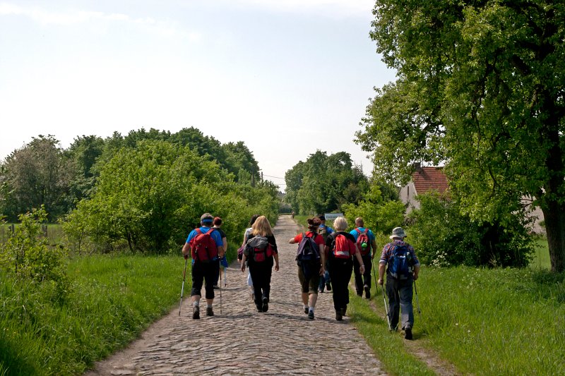 06.jpg