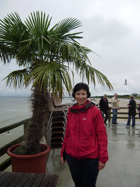 05.jpg