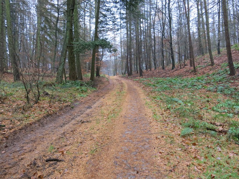 05.jpg