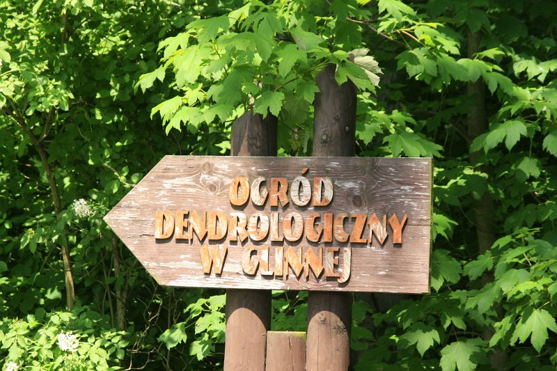 05.jpg