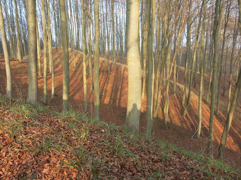 14.jpg