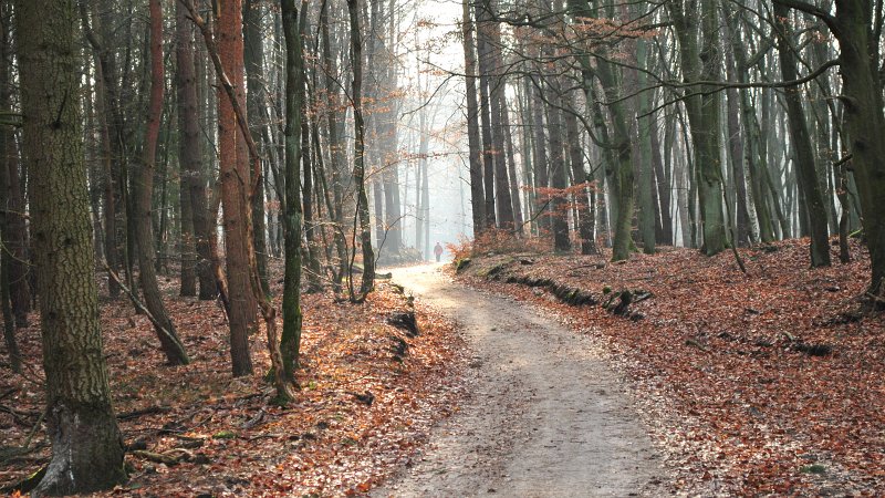 08.jpg