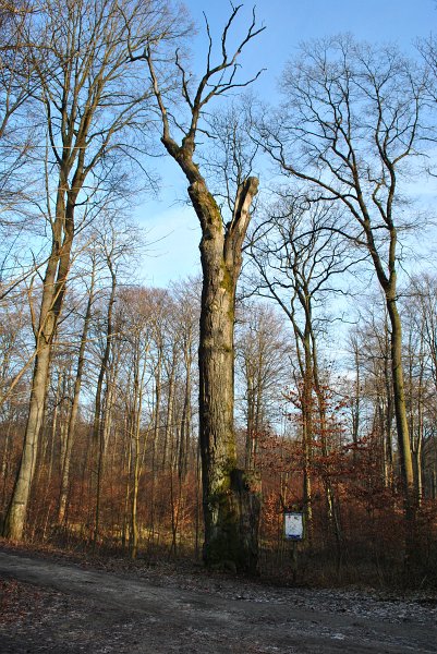09.jpg