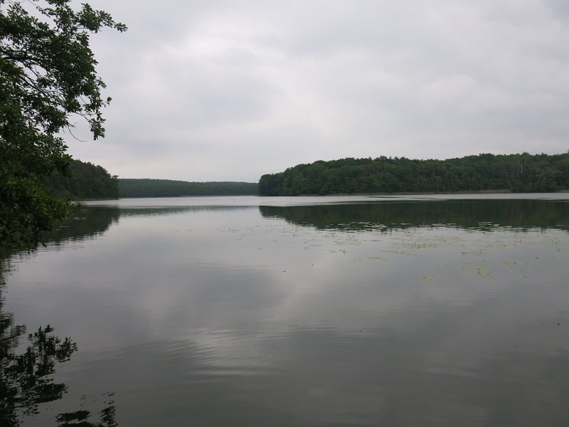 04.jpg