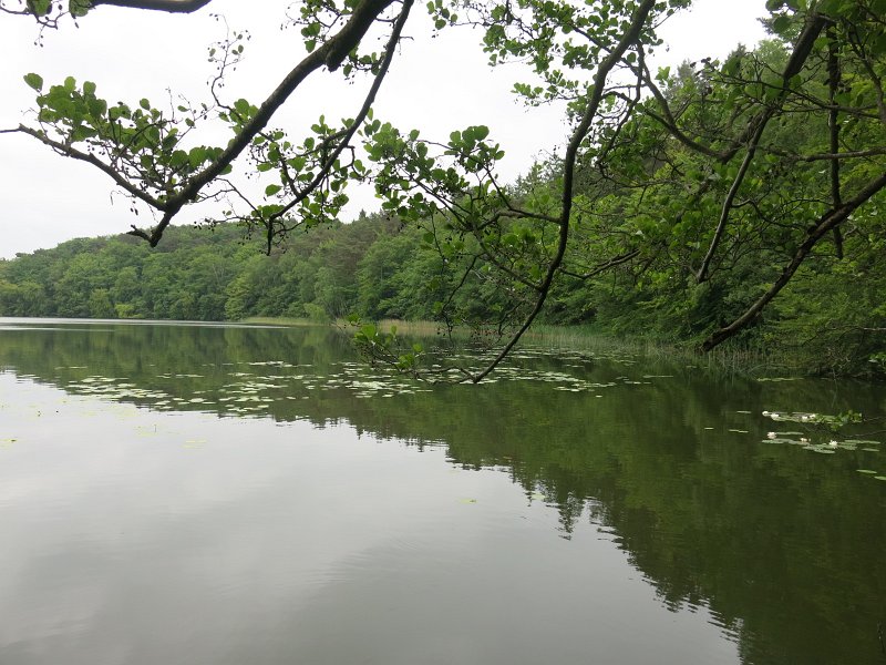 05.jpg