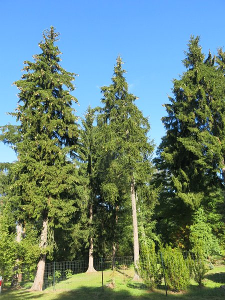 05.jpg