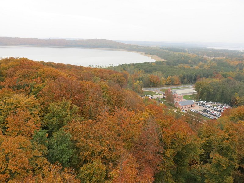 06.jpg