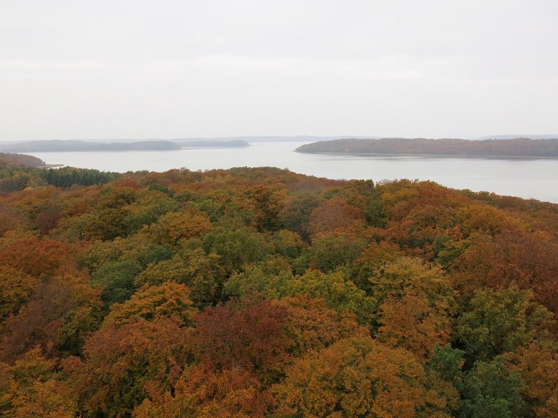 07.jpg
