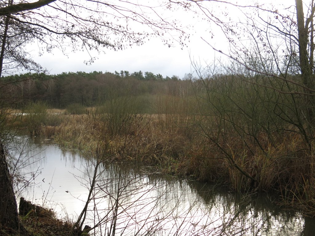 01.jpg