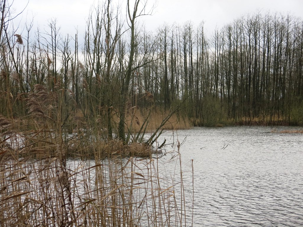 02.jpg