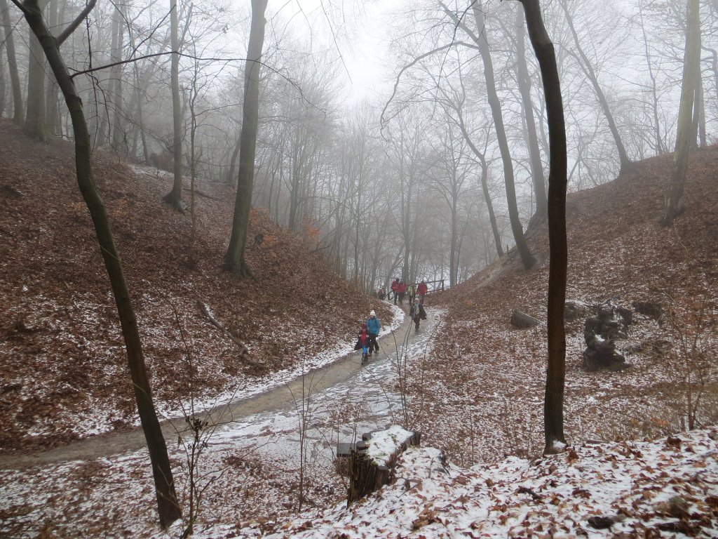 05.jpg