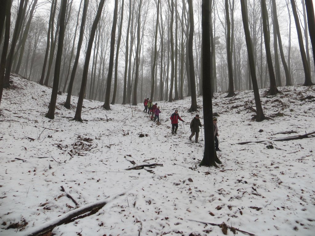 09.jpg
