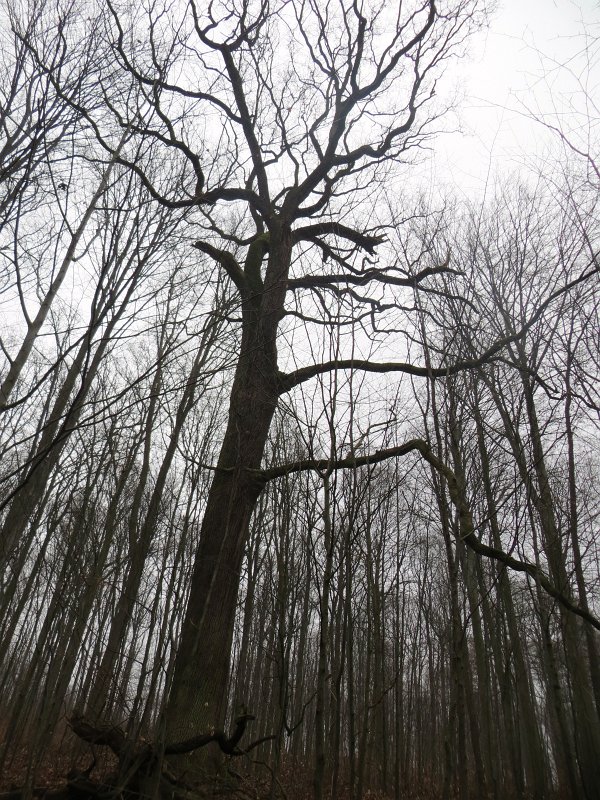 08.jpg