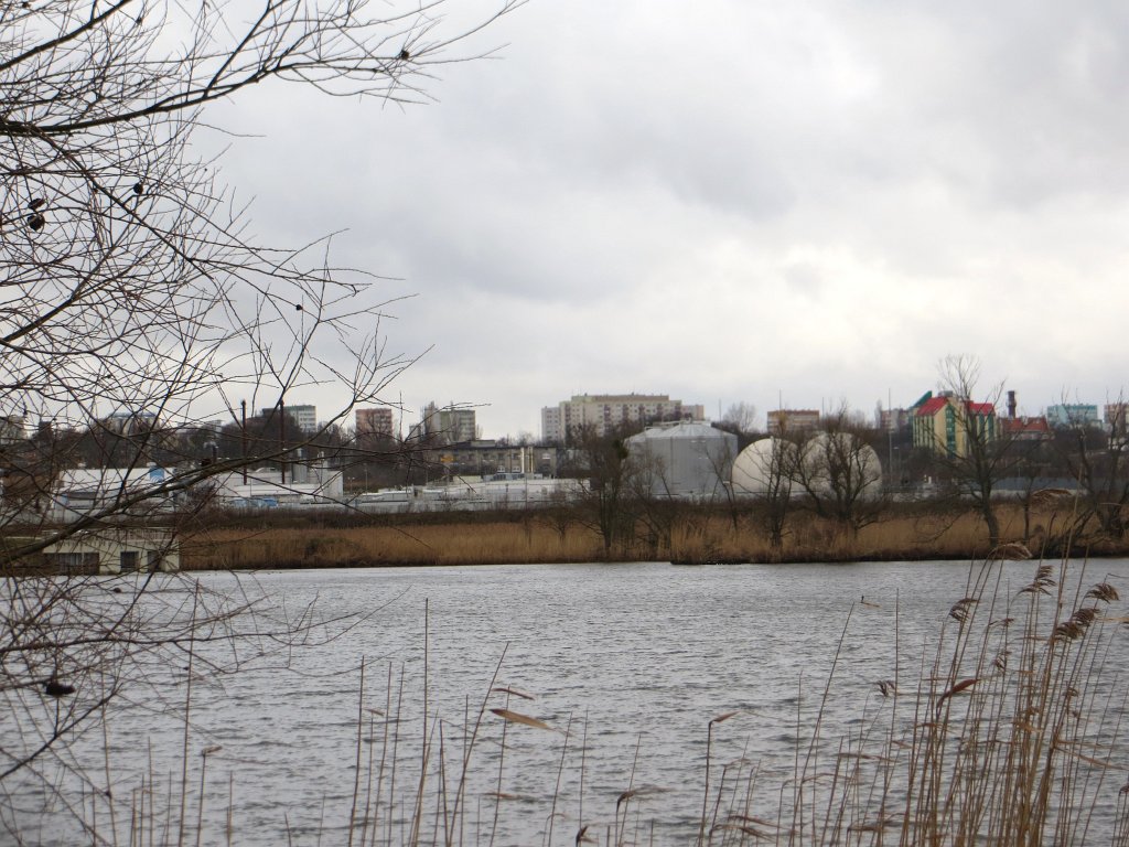 05.jpg