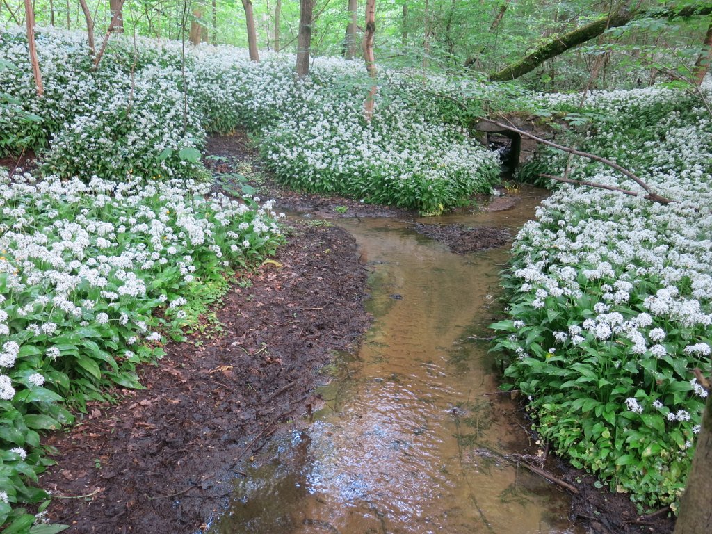 04.jpg