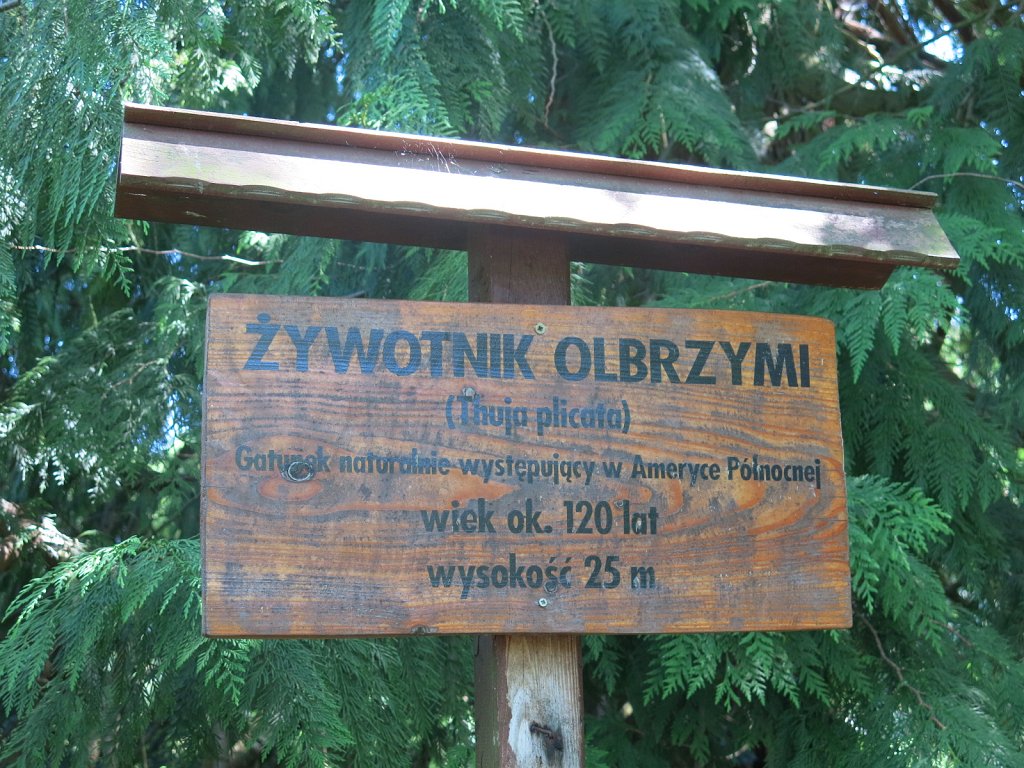04.jpg
