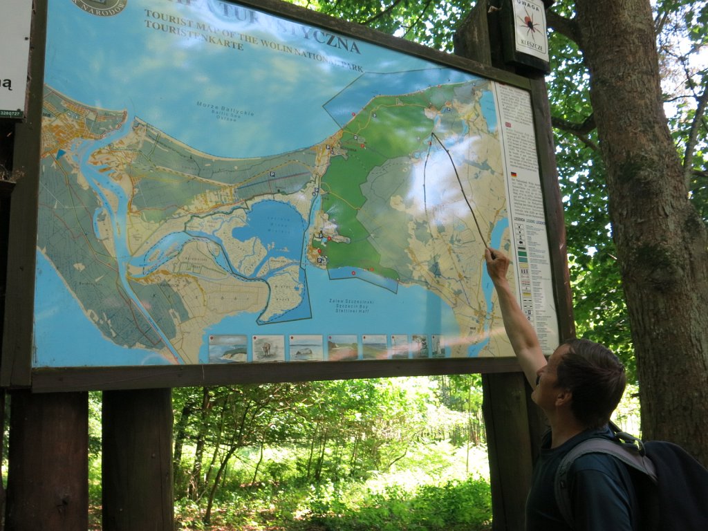 05.jpg
