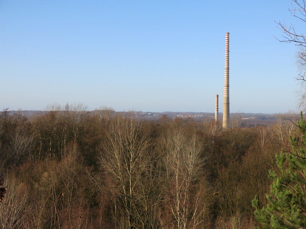 02.jpg
