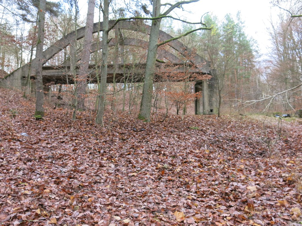 04.jpg