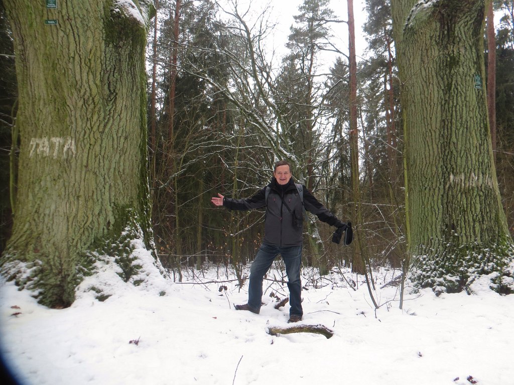 06.jpg