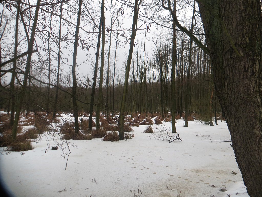 07.jpg