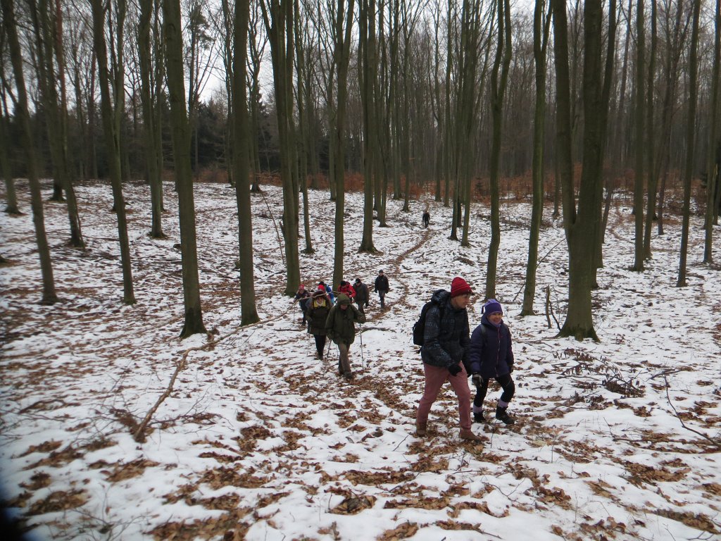 06.jpg
