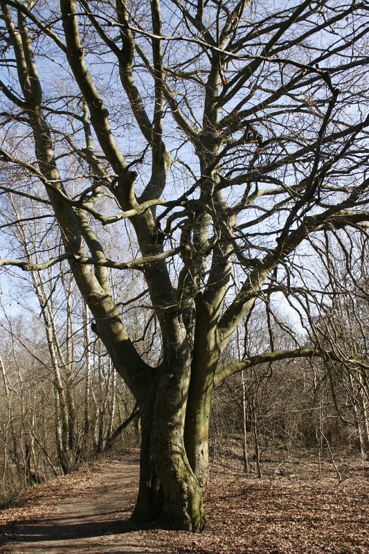 03.jpg