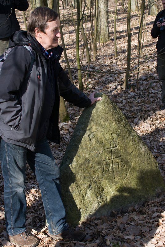 06.jpg