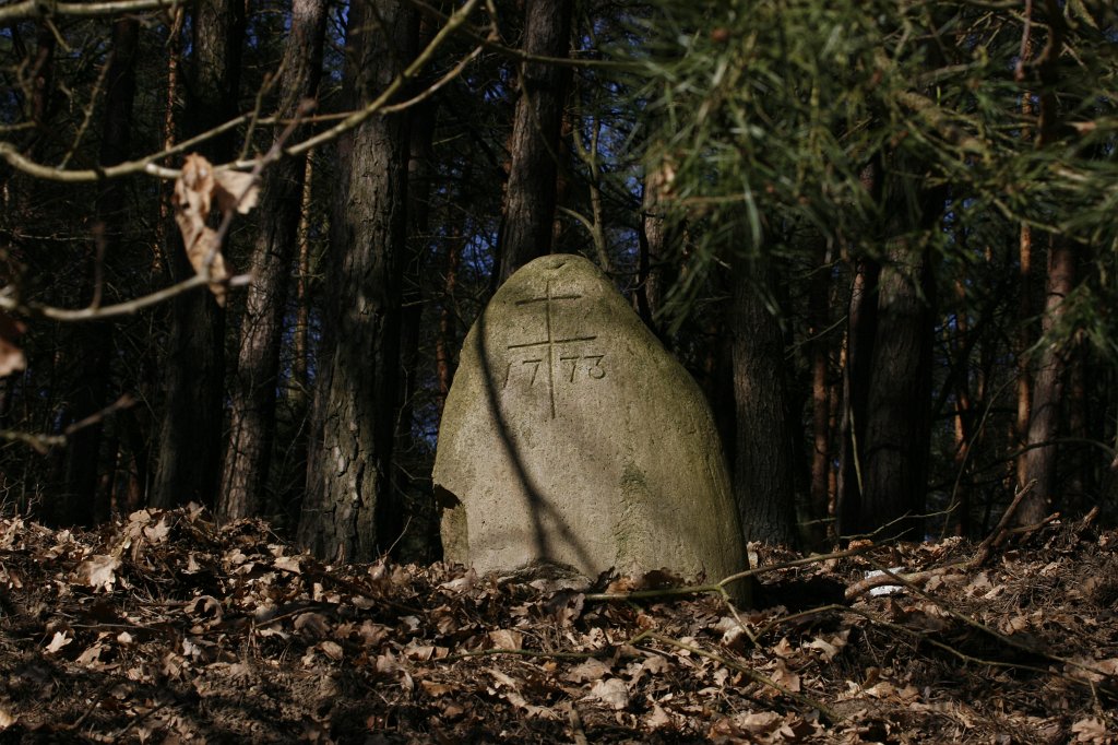 08.jpg