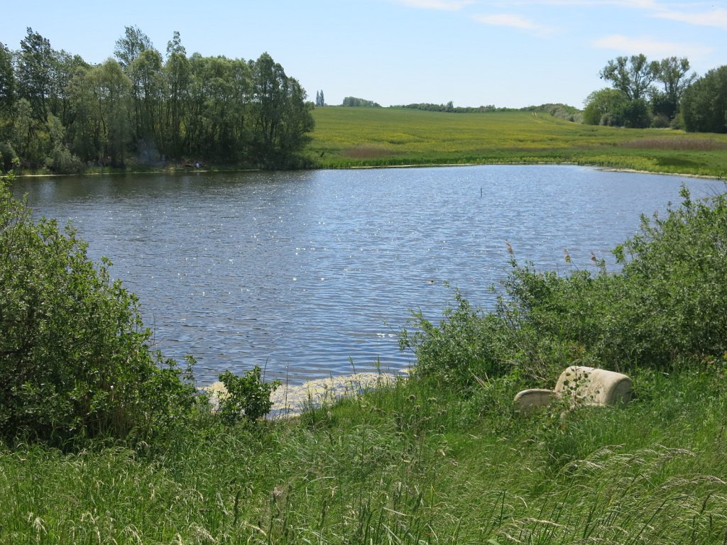 09.jpg