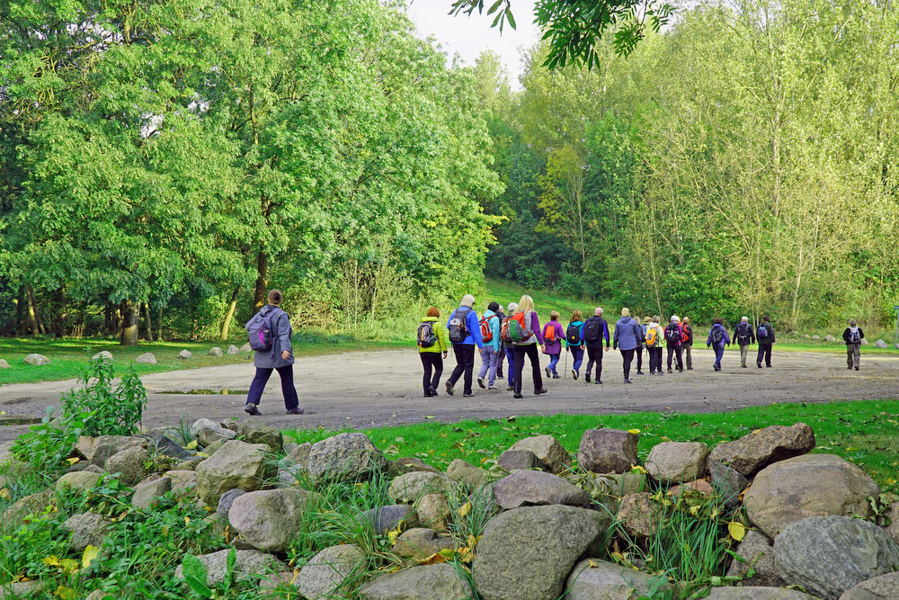 06.jpg