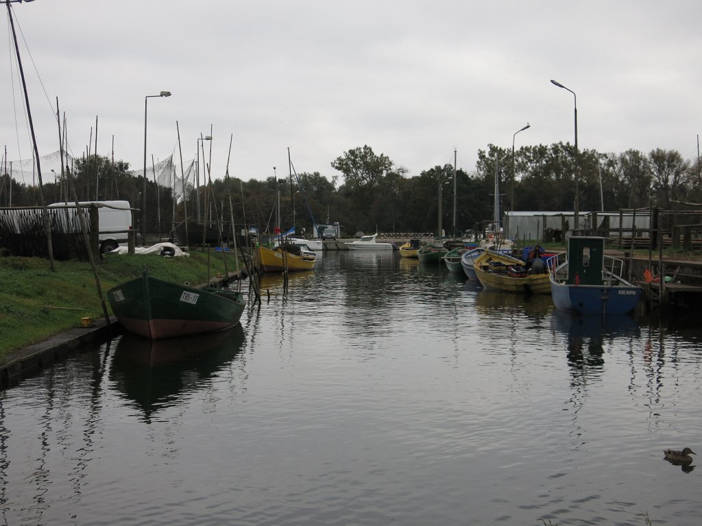 01.jpg